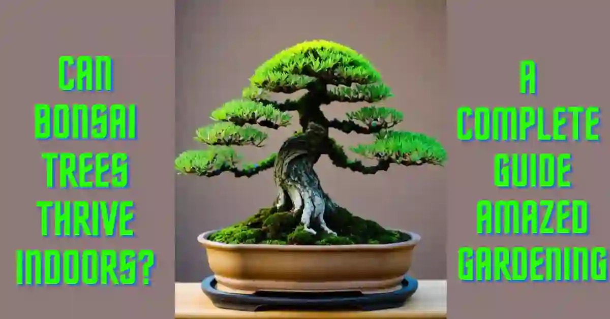 Can Bonsai Trees Thrive Indoors